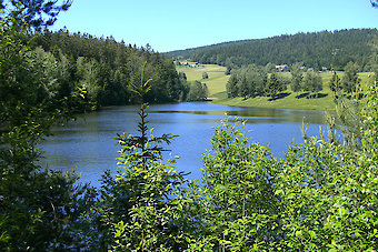 Urlaub in der Dreiländerregion Bayerischer Wald